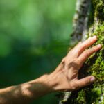 Hochsensibilität – Gabe, Herausforderung und Wege der Integration